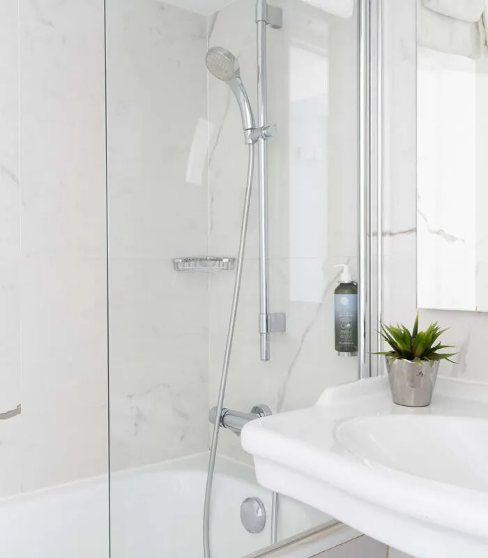 Salle de bain de la chambre twin avec un lavabo et une douche, avec une plante sur le comptoir à l’Hôtel 34B