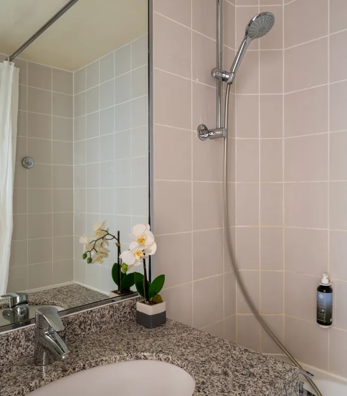 Salle de bain de la Chambre Privilège avec un lavabo, des toilettes et une douche à l’hôtel Astoria