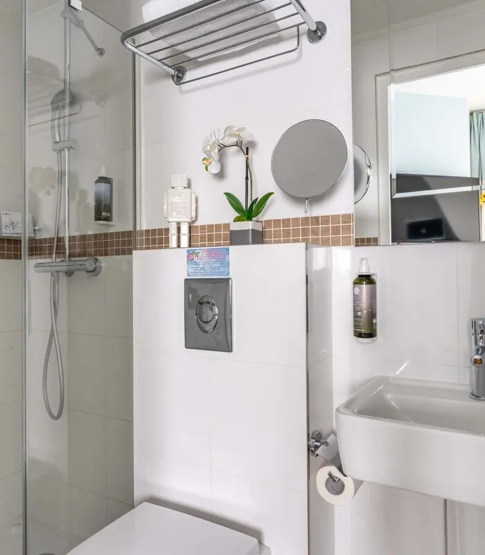 Chambre Single Cocoon, salle de bains avec un WC, un lavabo et un miroir à l’hôtel Augustin