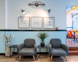 Vue du lobby de l’hôtel 3 étoiles Augustin à Paris, où des couleurs élégantes se marient parfaitement à une atmosphère raffinée