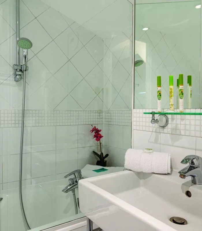 Salle de bain d’un Appartement avec un lavabo et une douche, avec des bouteilles vertes sur l’étagère, à l’Hôtel Lorette