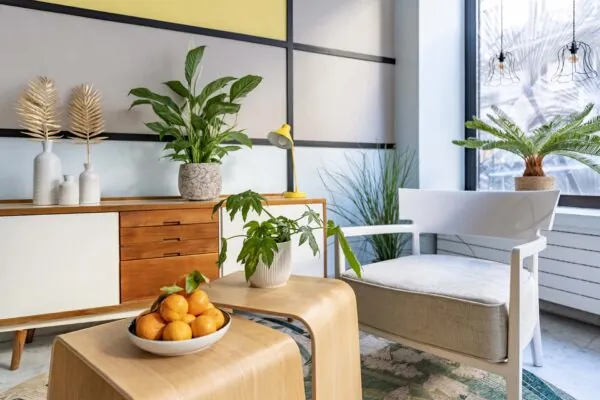 Vue du lobby de l’hôtel 3 étoiles Palm à Paris, un espace où l’originalité se mêle au confort, offrant une expérience unique et agréable