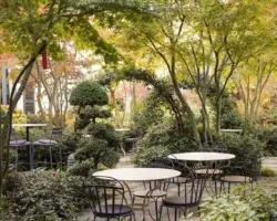 Jardin paisible de l’hôtel Regent’s Garden à Paris, avec des tables et des chaises entourées de verdure et d’arbres taillés